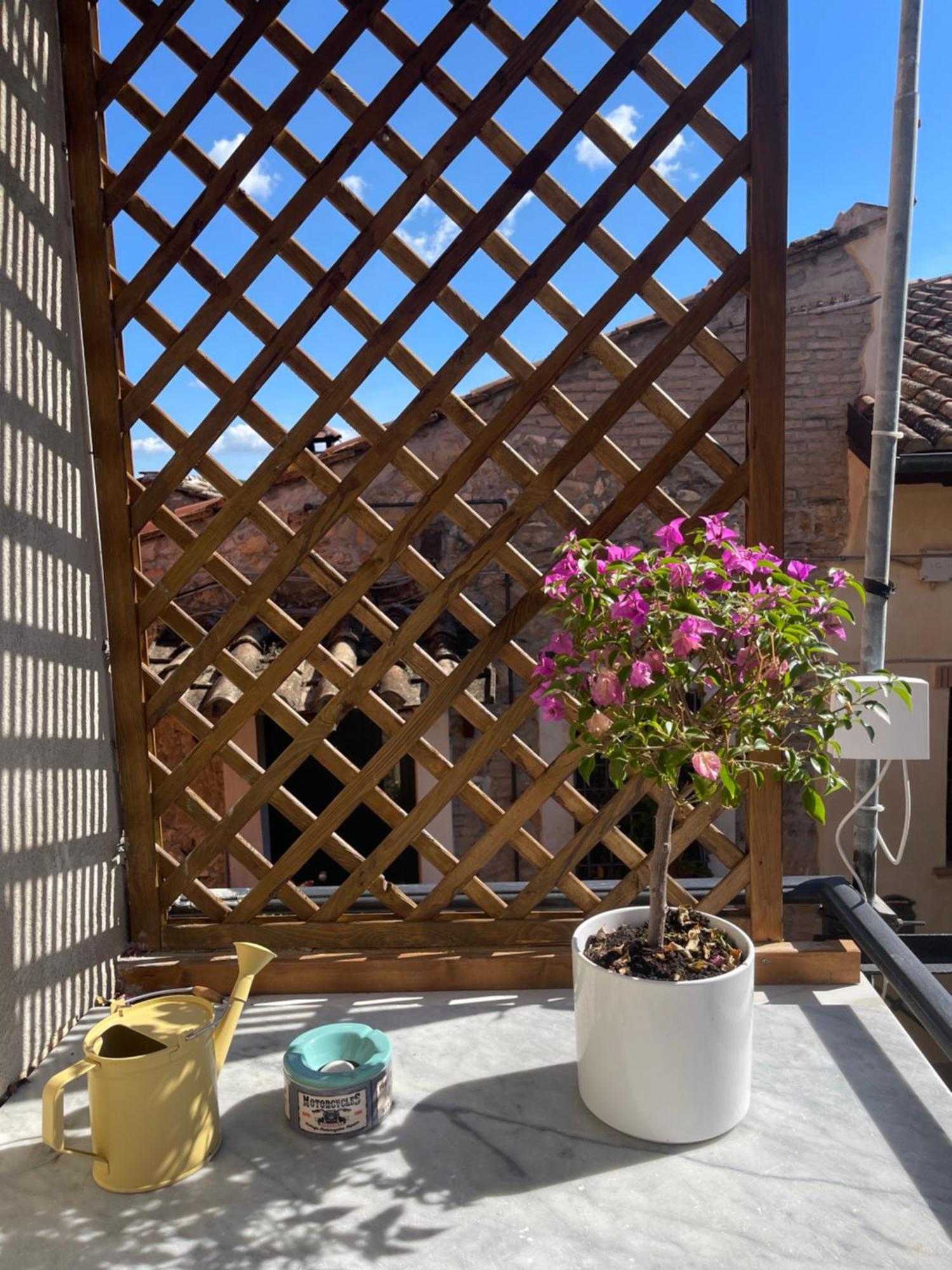 Apartmán Il Borghetto Mentana Exteriér fotografie